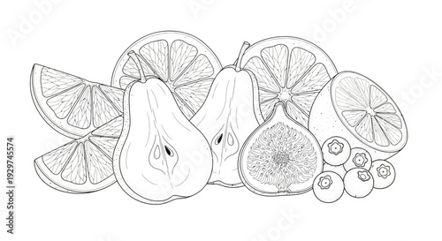 fresh fruit illustration, pears and citrus