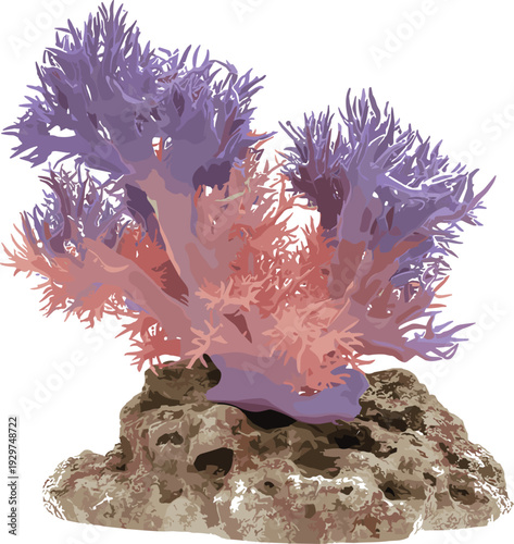 Colorful coral reef decoration with purple and pink coral on a rock base