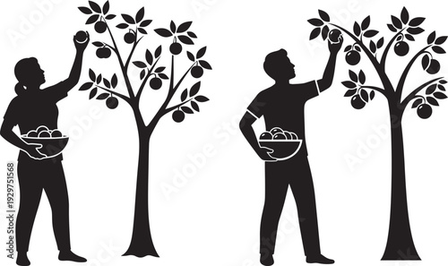 People picking fruit from trees