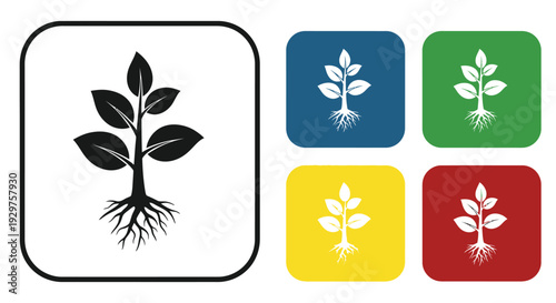 Young plant seedling with roots shown in various colors.