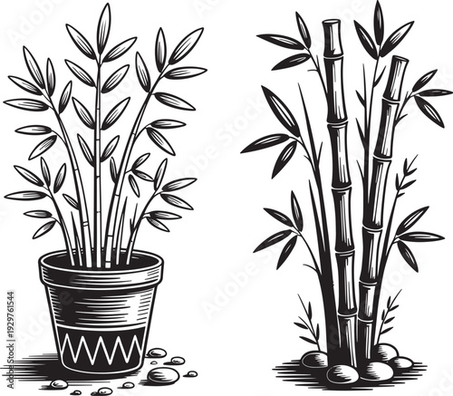 Stylized Bamboo Stalks in a Pot and Clumps - Zen Illustration