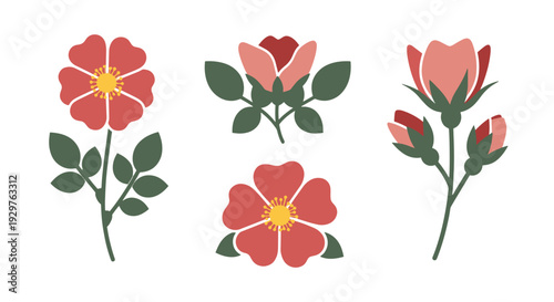 Wild Rose Line art soft tone color vector