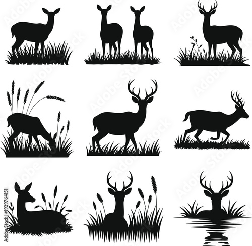 Deer Silhouette Collection, Wild Stag and Doe in Grass, Forest Wildlife Animals, Antler Buck Vector Set, Nature Hunting Design Illustration