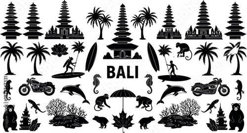 Black silhouette set of diverse female head profiles with various hairstyles including ponytails buns and curls for beauty and fashion