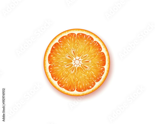 Vibrant vector illustration showcasing a perfectly sliced, juicy orange fruit half with intricate pulp details and visible seeds, ideal for healthy eating and fresh juice designs.
