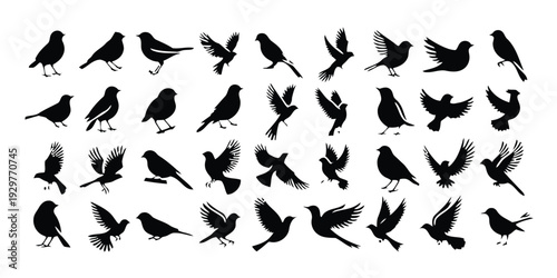 Variety of black bird icons and symbols on white background vector set