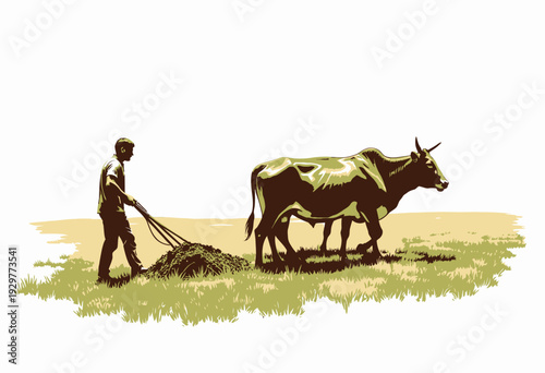 Man guiding oxen team to plow fertile field during a sunny day with grass underfoot, showcasing traditional farming techniques and rural agricultural practices