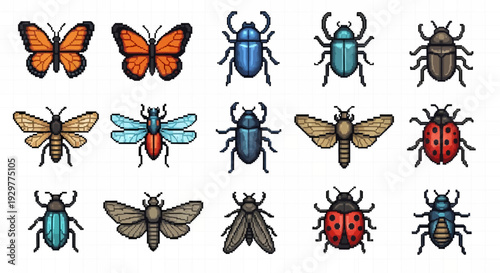 Collection of colorful insects and butterflies isolated on white background