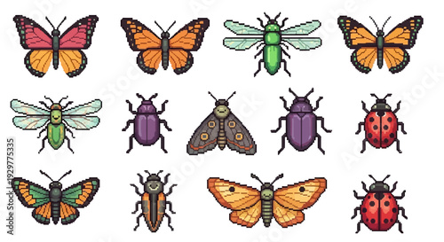 Colorful insect collection illustration featuring butterflies moths and beetles