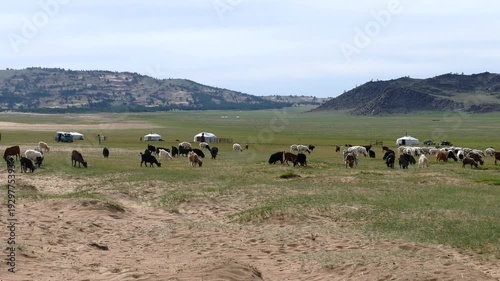 A herd of goats and sheep grazing alongside yurts in the Mongolian steppe against the backdrop of the mountains in a summer sunny day.