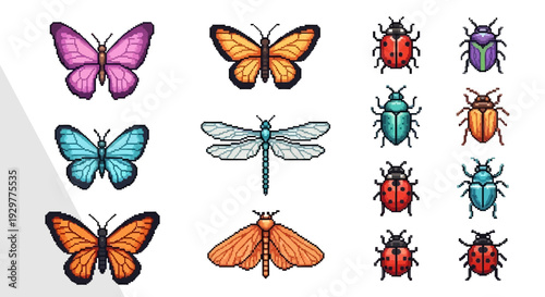 Colorful insect illustrations set for design elements and various applications