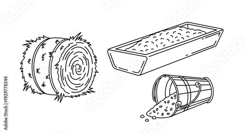 Illustration of Rose Hip and Seed Containers.