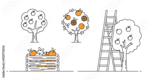 Illustration of Trees and Ladder with Fruits.
