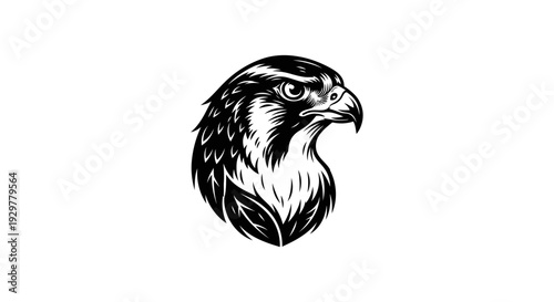Striking black and white illustration of a majestic hawk head with intricate details, perfect for a powerful logo