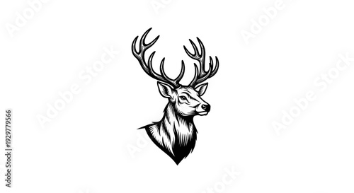 Powerful deer icon Majestic and elegant stag head with large antlers