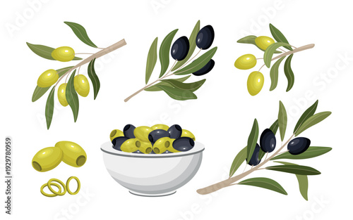 Olive branches with green and black olives and bowl of olives isolated on white background botanical food vector illustration set