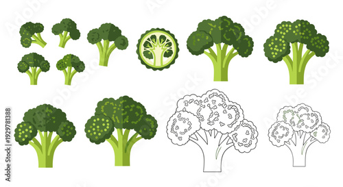 Variety of broccoli designs: flat, outline, and colored styles for creative projects