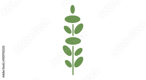 Green leafy plant stem with oval leaves.