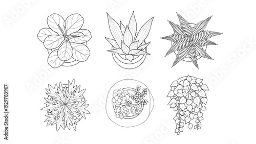 Modern Indoor Potted Plant Icons Plan View Architectural Sketch Outline Vector Set