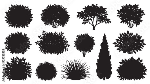 A collection of silhouetted plants and trees displayed from a front viewpoint in a graphic illustration format.