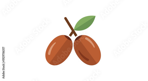 Two brown olives with green leaf.
