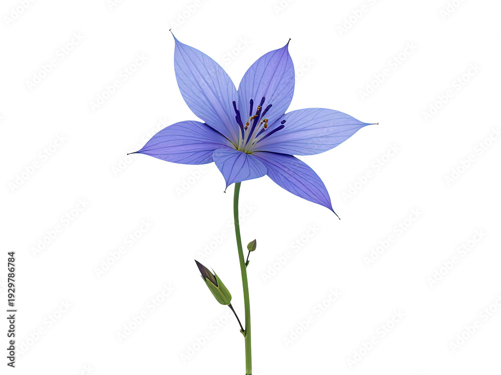 custom made wallpaper toronto digitalA single blue flower grows from a stem on a clean white surface, great for backgrounds and decorations