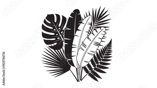 Tropical leaves illustration featuring monstera and palm fronds in black and white from a top view