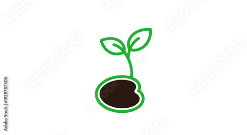 Seedling sprout