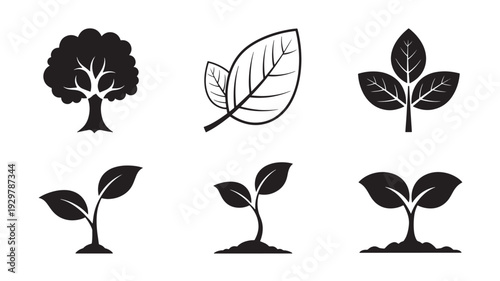 Collection of plant silhouettes illustrating various stages of growth from seedling to mature tree