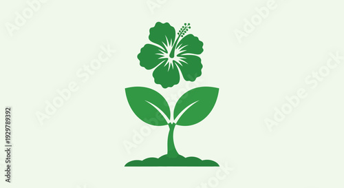 Green Hibiscus Sprout