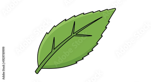 Green leaf