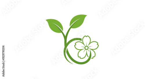 Green sprout and flower