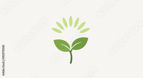 Green sprout and sun