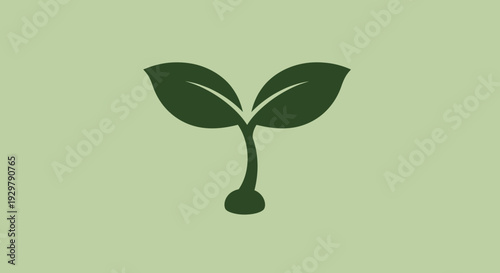 Green sprout growing