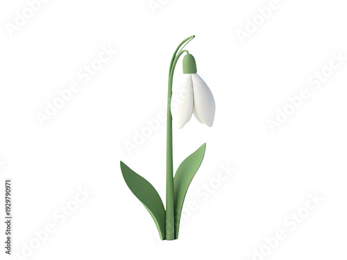 A single white flower surrounded by green leaves on a clean white background, perfect for use in editorial or commercial contexts