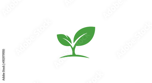 Green sprout growing