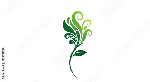 Green Swirl Plant