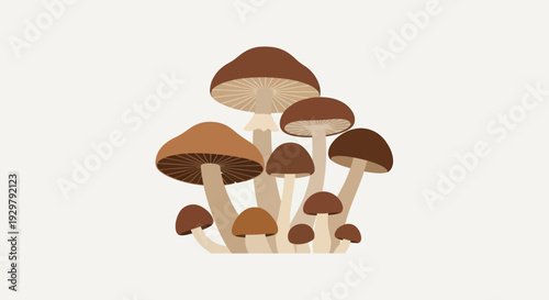 Mushroom Cluster