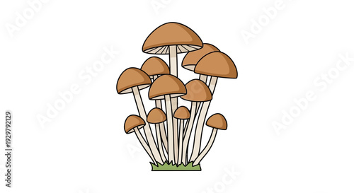 Mushroom Cluster