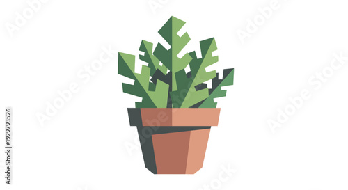 Potted Plant
