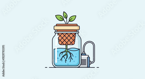 Hydroponic Plant Growth