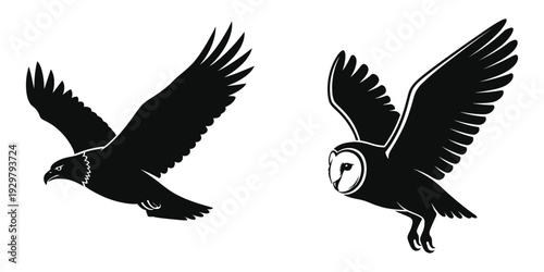 Two barn owls in flight silhouette illustration