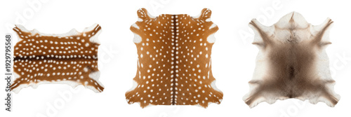 Cuadro en lienzo Spotted Deer Hide Fallow Deer Pelt Reindeer Skin Isolated on White PNG Transpare