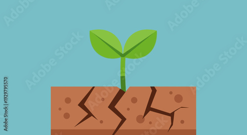 Plant Growing Cracked Earth