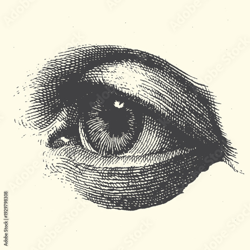 Detailed vintage engraving of a human eye, rendered with intricate cross-hatching, symbolizing vision, perception, observation, and insight.