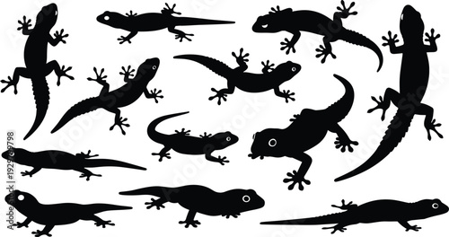 Set of black silhouette vectors featuring various tropical gecko lizards and reptiles crawling in different top down view poses
