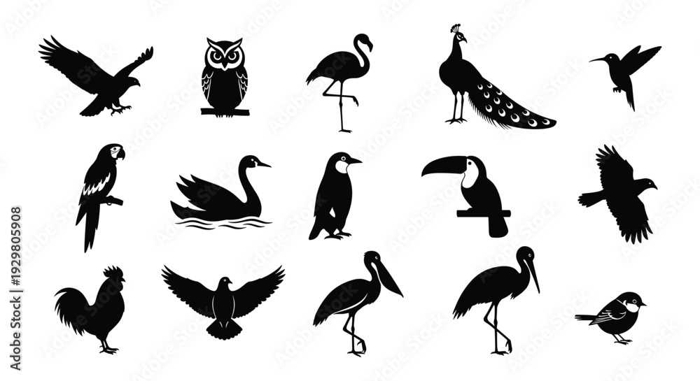 Obraz premium Bird Silhouette Collection — Black Wildlife Flying Shape Vector Set