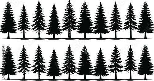 Vector set of black pine tree silhouettes, coniferous forest evergreen fir spruce timber collection isolated on white for landscape design nature woodland scene