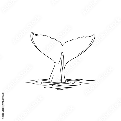 Simple line art illustration of a whale tail emerging from the water.