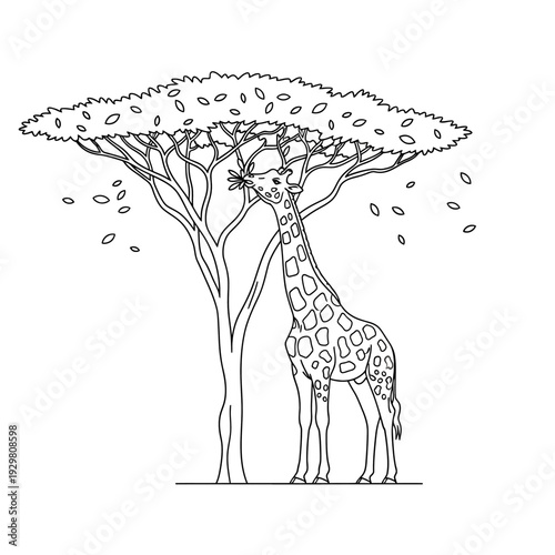 Black and white illustration of a giraffe eating leaves from a tree in the savanna.
